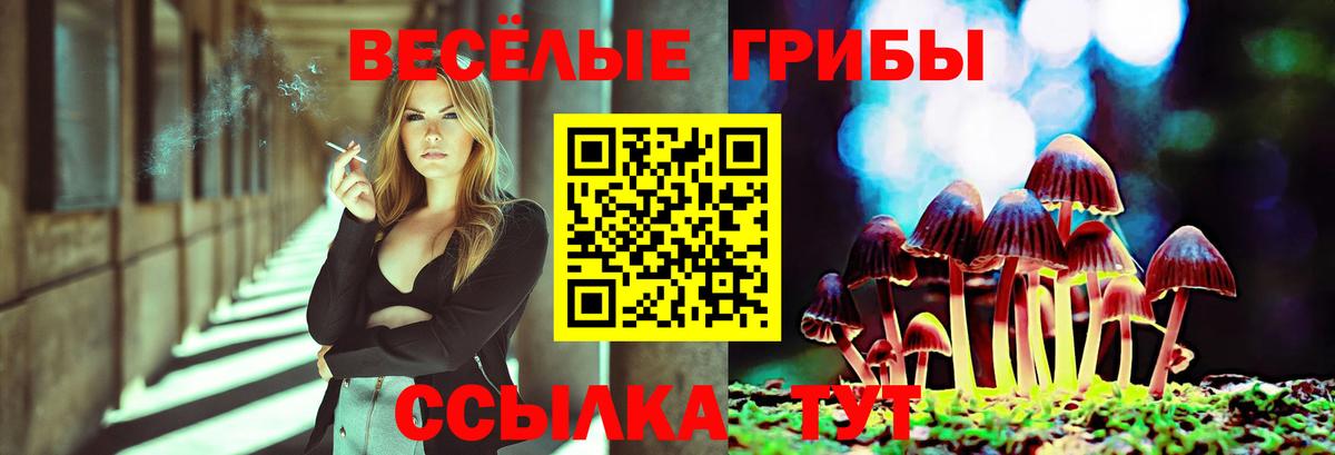 Галлюциногенные грибы Magic Shrooms Комсомольск-на-Амуре